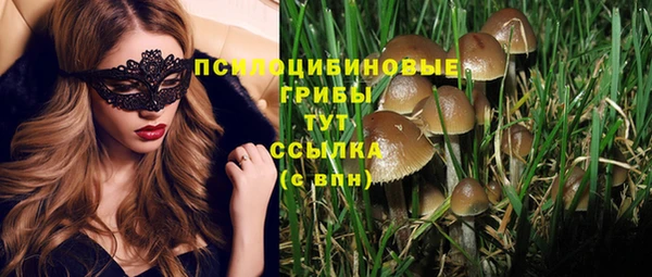 шишки Навашино