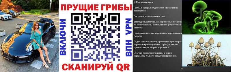 Псилоцибиновые грибы MAGIC MUSHROOMS  Купить  Алзамай 